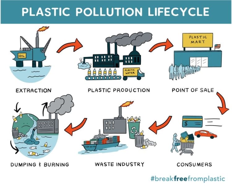 Plastic pollution cycle.