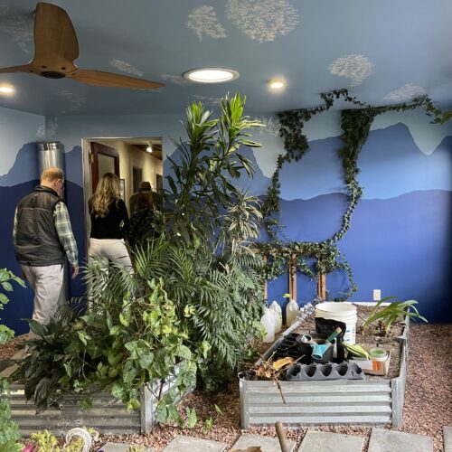 hafer green room